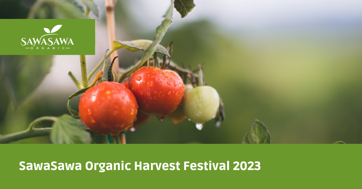 SawaSawa Organic Harvest Festival 2023