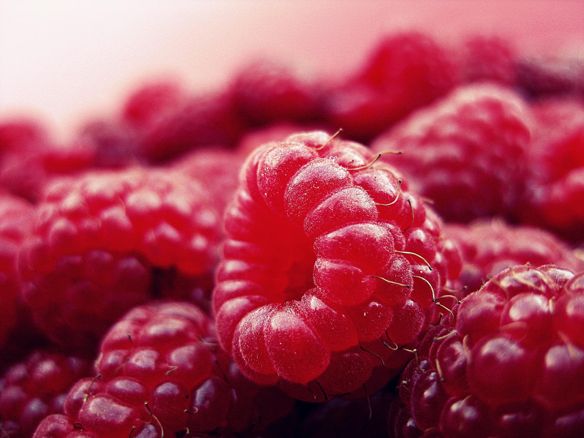 raspberries