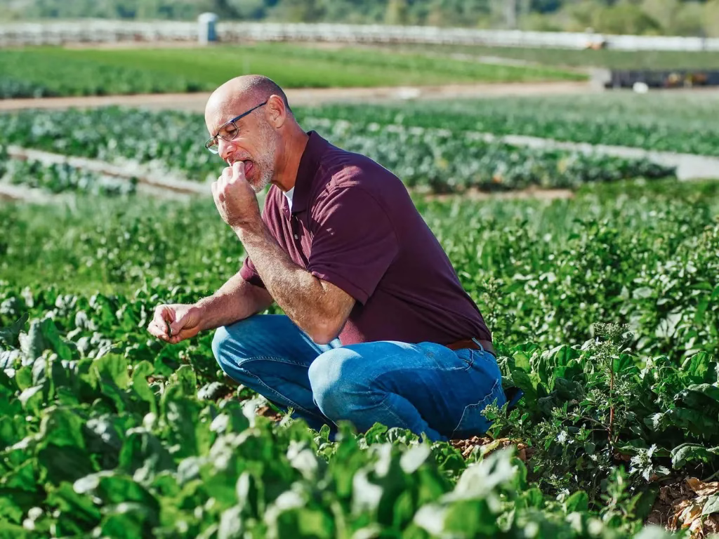 Sawasawa Organic Farm photo 4