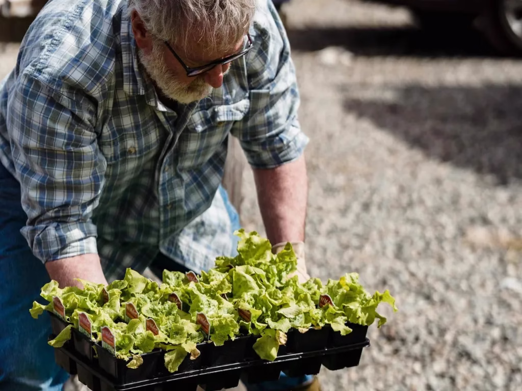 Sawasawa Organic Farm photo 7