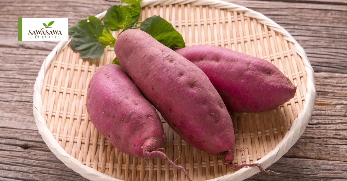 7 Organic Foods That Promote Graceful Aging Naturally