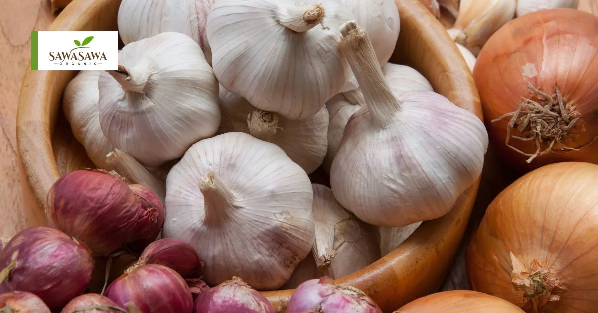 Anti-Aging Foods for Seniors Turn Back the Clock With What’s On Your Fork