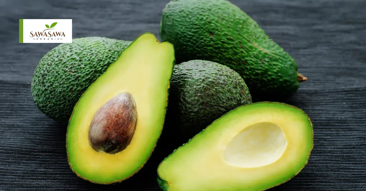 Avocados for Heart Health – A Natural Way to Protect Your Heart