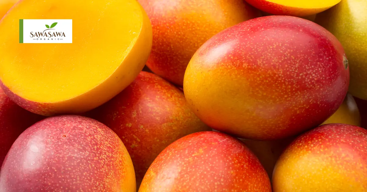Mangoes for Natural Energy – Nature’s Sweet Fuel for Your Body