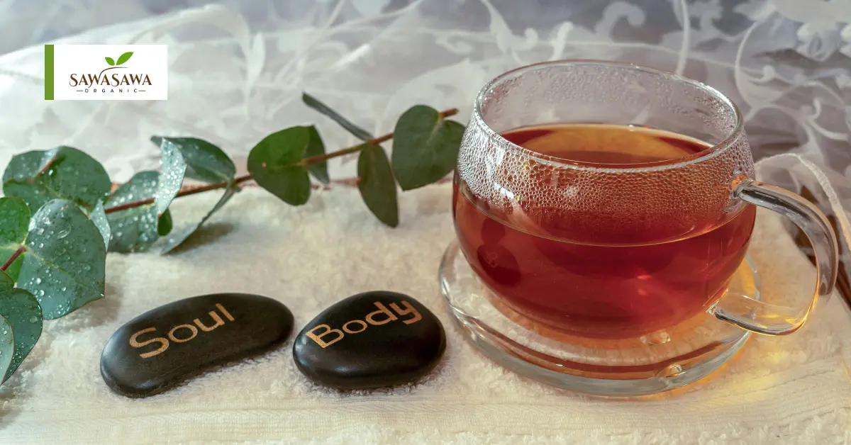Herbal Teas for Mind and Body – Nature’s Gentle Path to Wellness