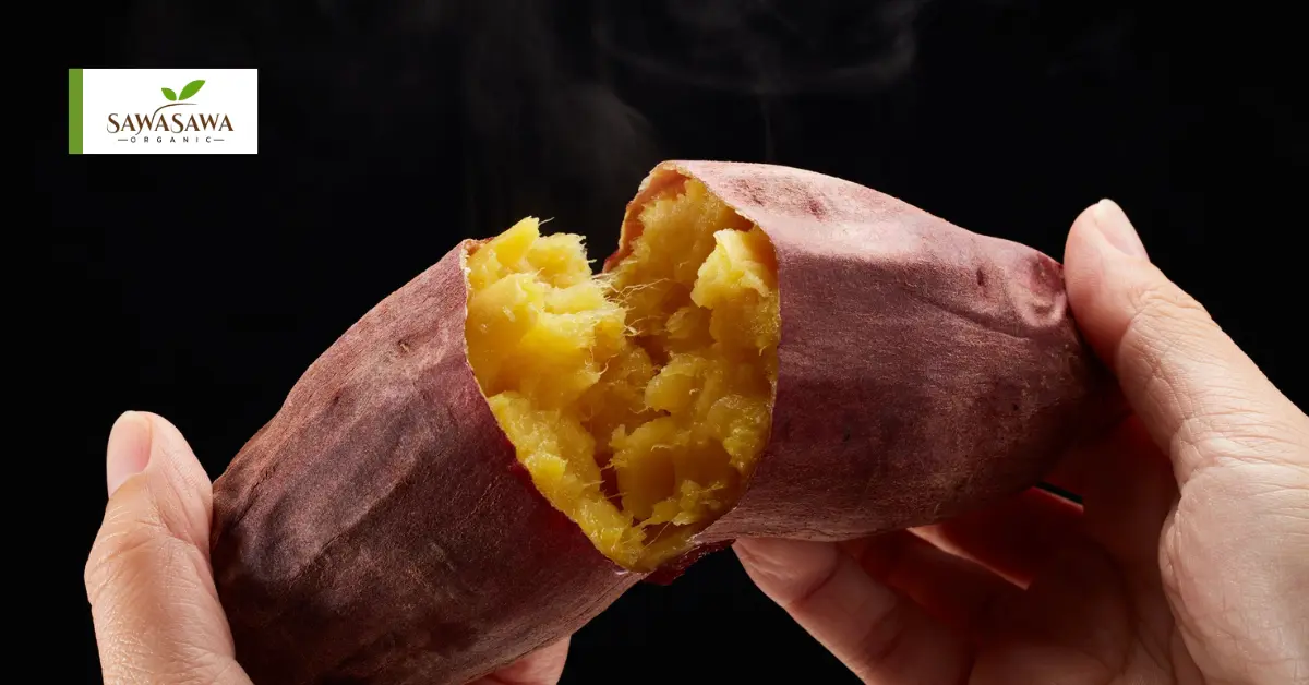 Sweet Potatoes – Nature’s Comfort Food