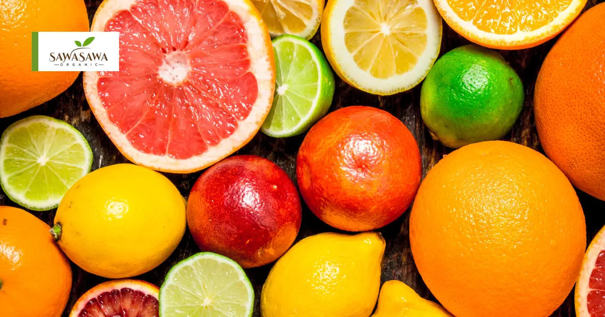 Citrus Fruits for Immunity – Nature’s Bright Defense