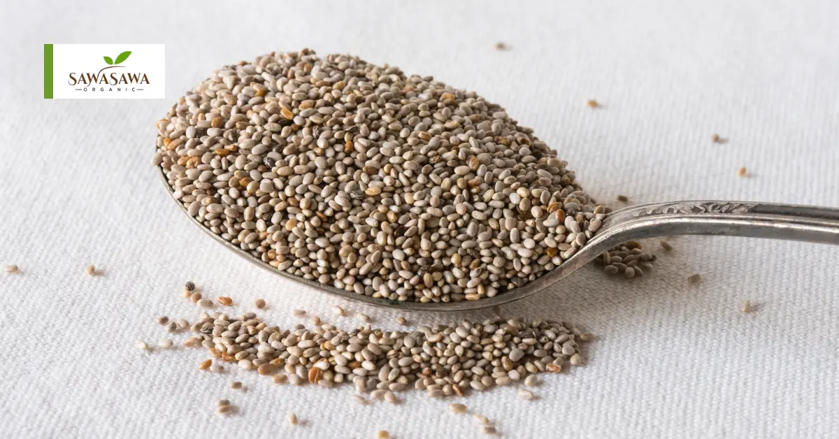 Why Nuts and Seeds Are Nature’s Nutrient Powerhouses